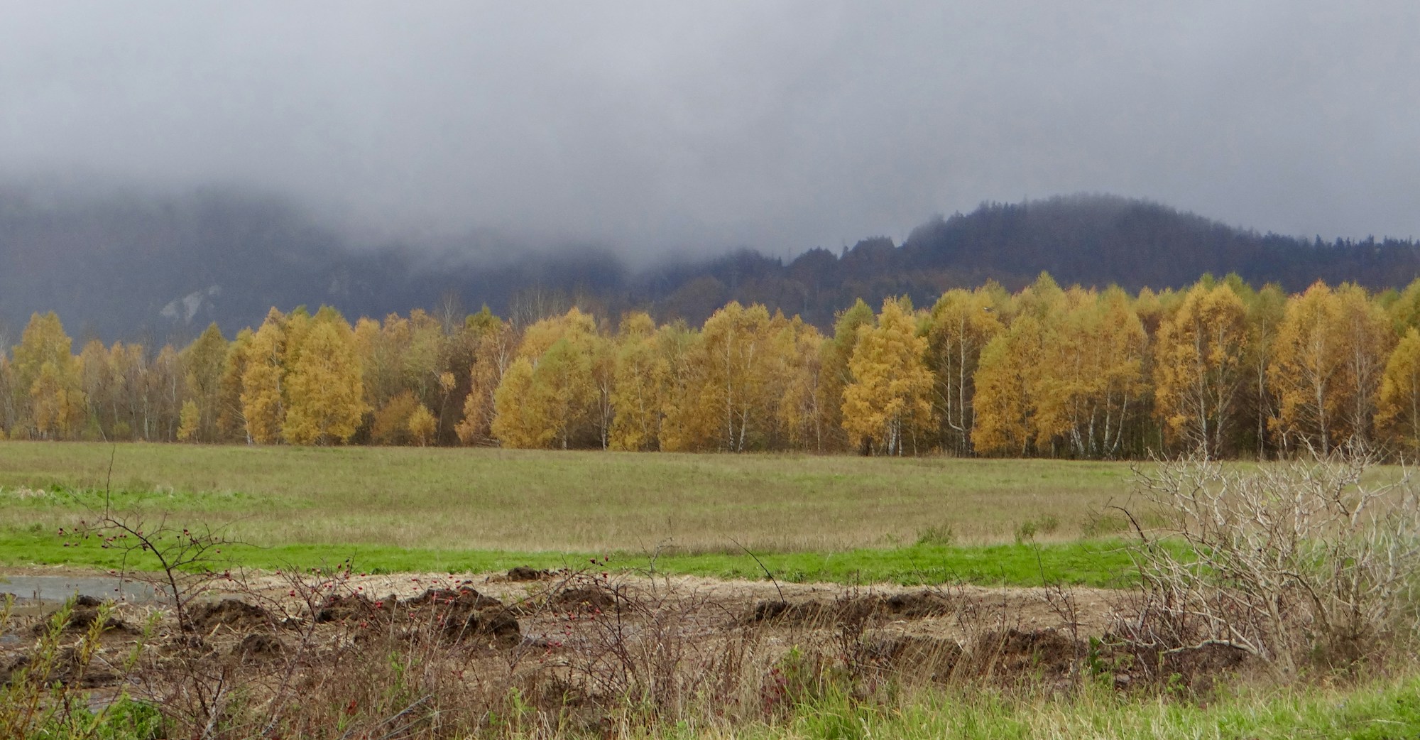 Paysage karstique de l'arrière-pays dalmate avec la montagne Dinara en arrière-plan
