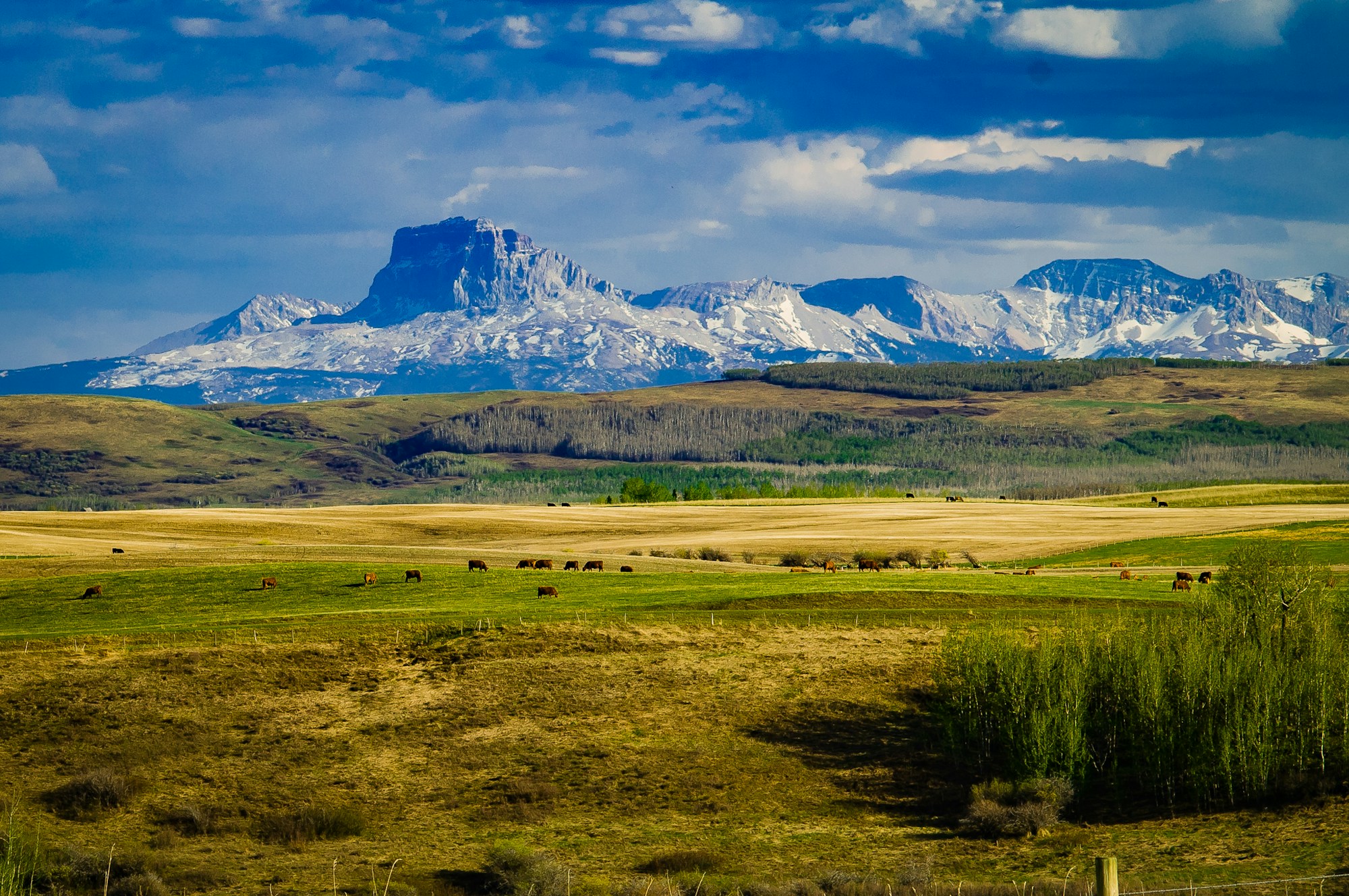 Bear Butte, formazione geologica sacra vicino a Sturgis nel Dakota del Sud