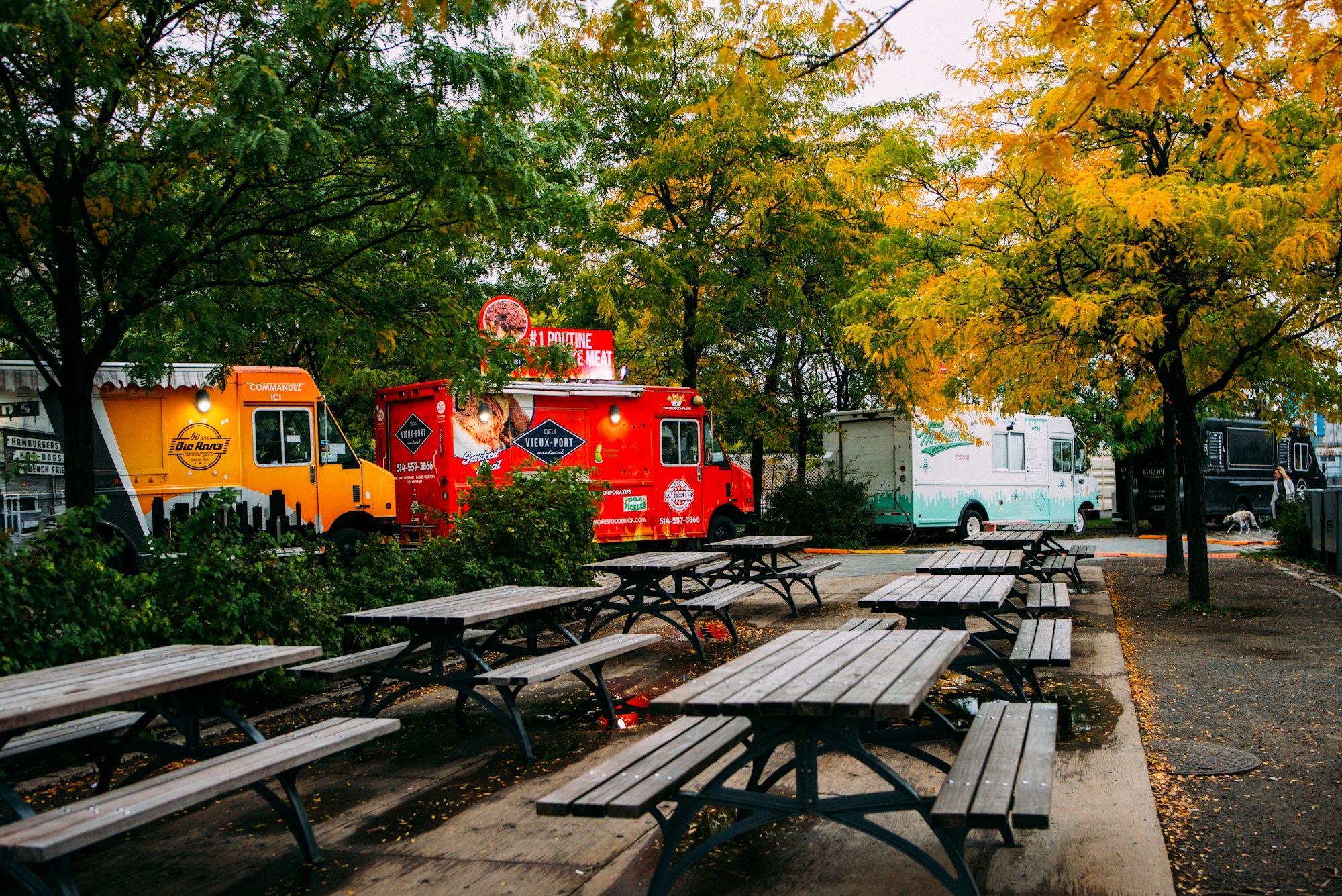 Persone in coda davanti a food truck colorati durante un festival gastronomico all'aperto