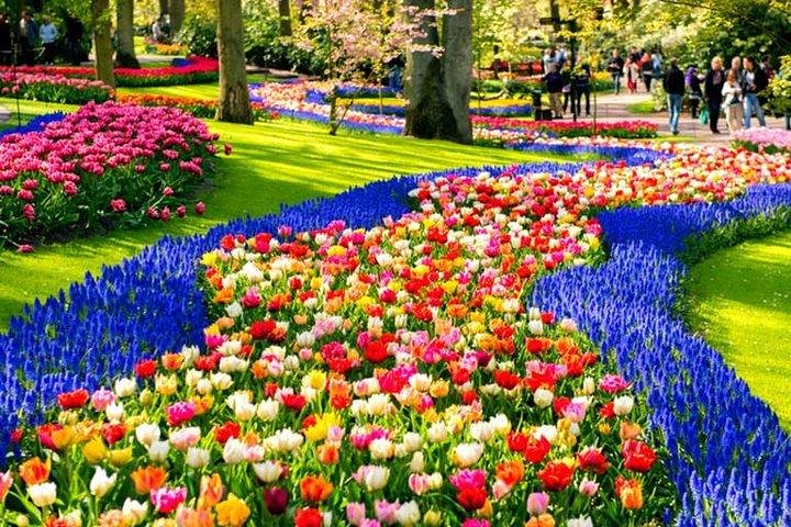Véhicule privé et campagne néerlandaise près de Keukenhof