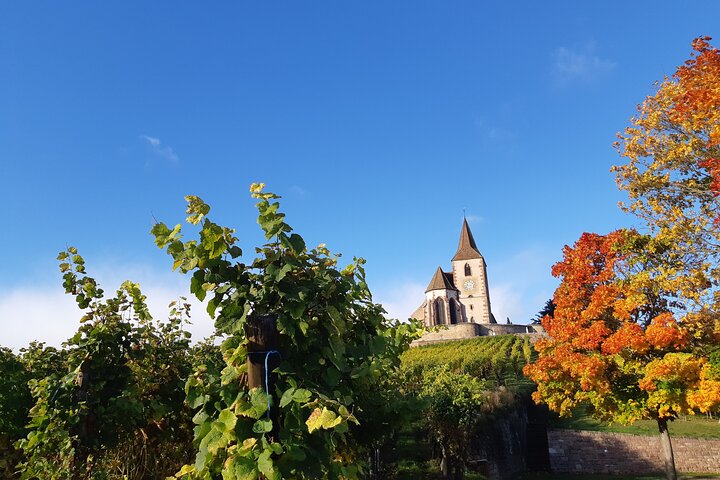 Tour ICONICS: 1/2 Giornata sulla Strada dei Vini, 2 Villaggi + Degustazione