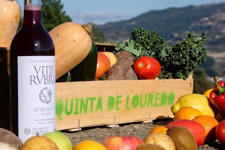 Ferme familiale Quinta de Louredo dans la vallée du Douro avec cours de cuisine traditionnelle