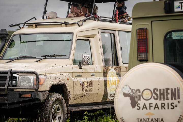 Lions et véhicule de safari 4x4 dans la savane tanzanienne