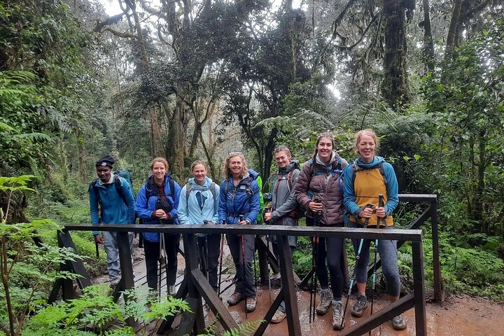 Randonneurs sur les pentes du Kilimandjaro, route Marangu