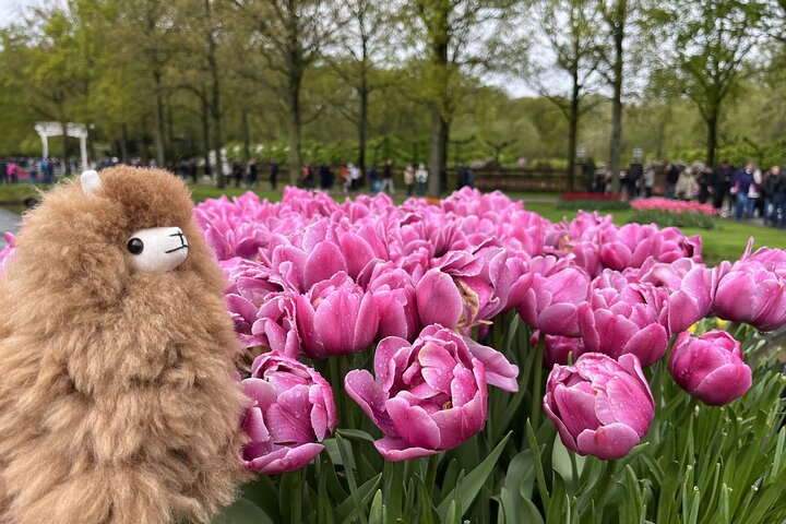 Parcours privé sur mesure dans les jardins de Keukenhof