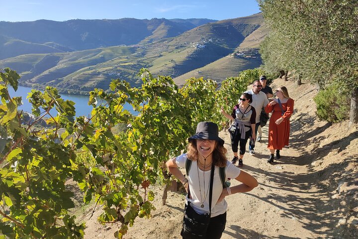 Vue panoramique sur la vallée du Douro depuis une terrasse de quinta avec dégustation