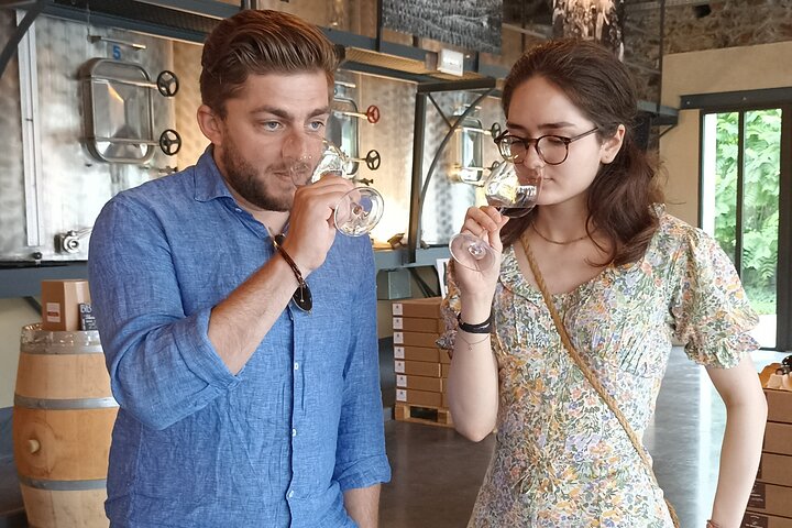 Vigneti della Valle del Rodano Nord con degustazione di vino in cantina, Côte-Rôtie ed Hermitage