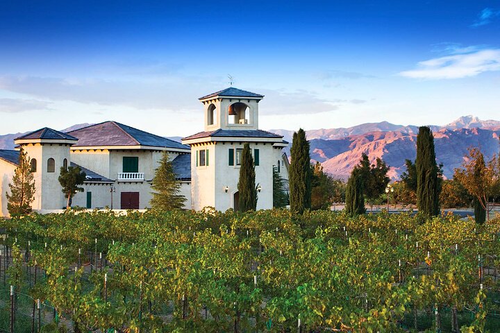 Vignoble du Nevada dans la Pahrump Valley au coucher du soleil