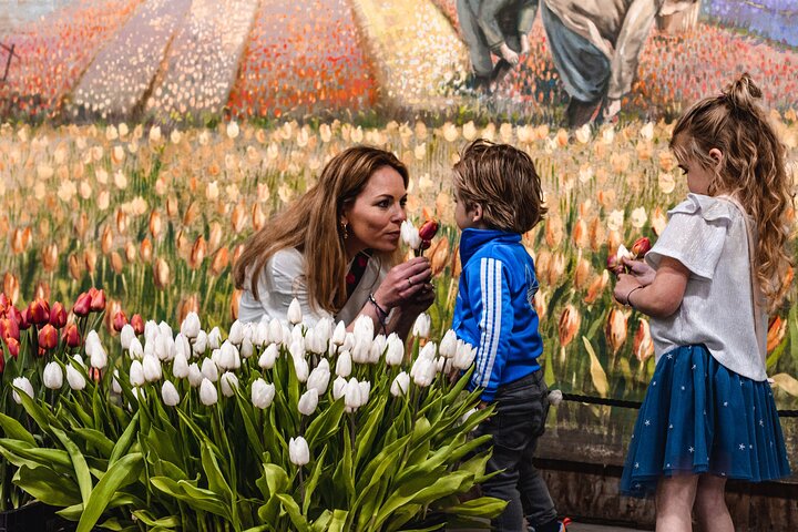 Jardins de Keukenhof et parterres de tulipes multicolores