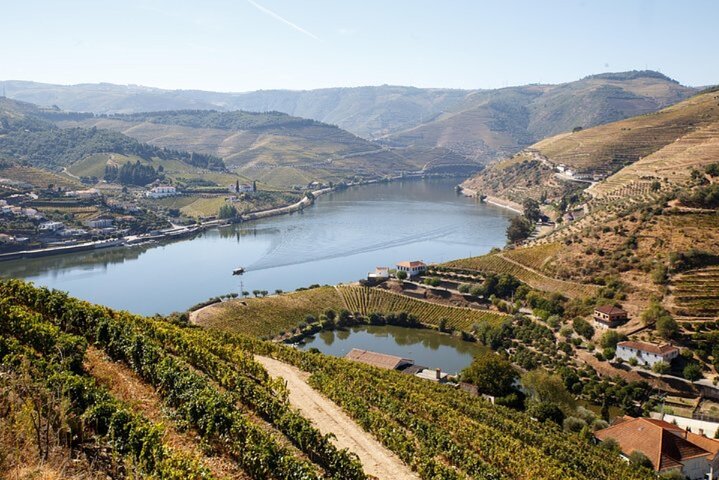 Vignobles en terrasses de schiste dans le Douro avec pratiques agricoles durables