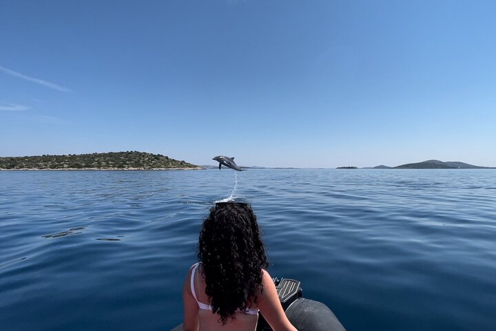 Sortie en bateau vers les îles de Zadar (photo 3)