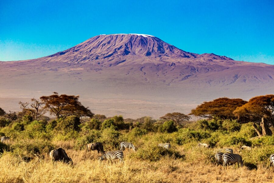 Ascension du Kilimandjaro par la voie Machame en 10 jours