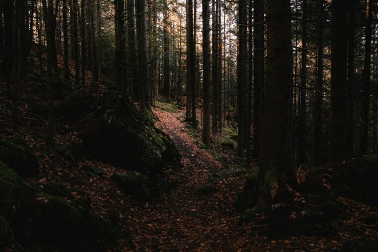 Vacaciones de otoño en Alemania 2026: calendario de los Länder