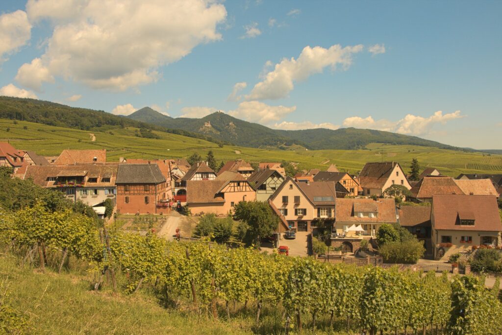 Vignoble et village à colombages sur la route des vins d'Alsace
