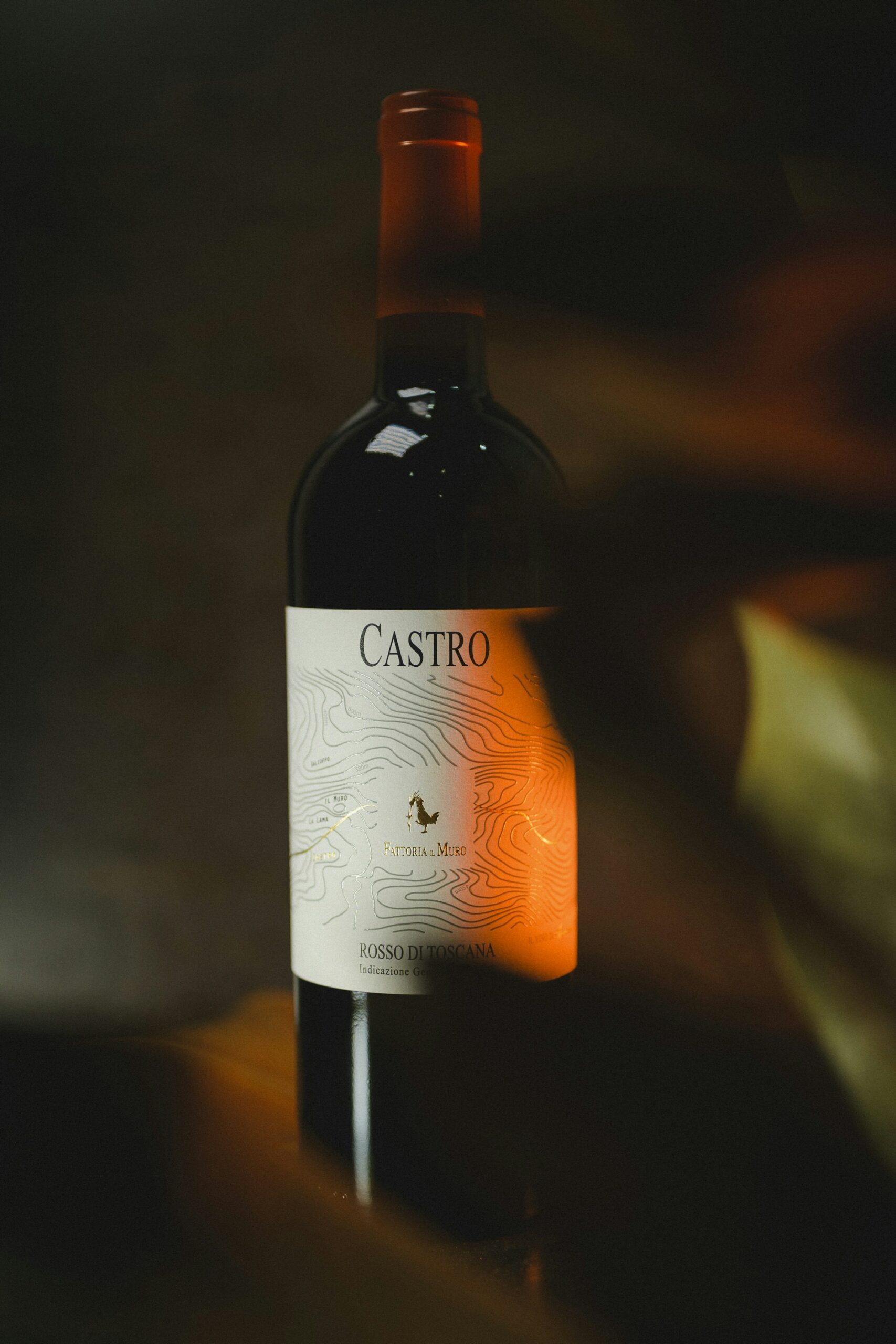Bottle of Tuscan red wine, the Chianti Classico symbol tasted at the Greve Expo