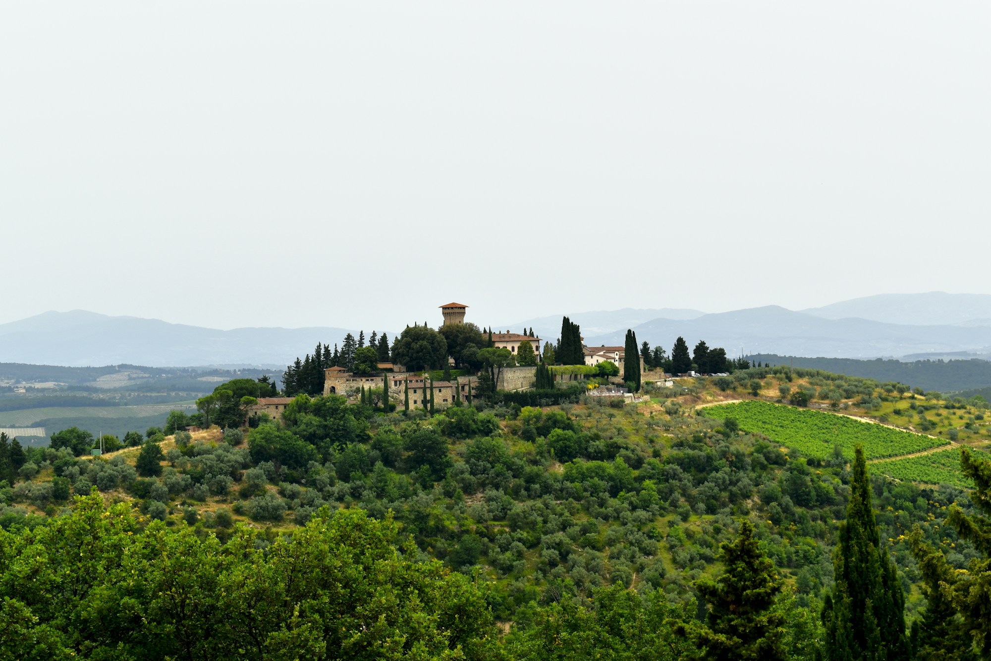 Tuscan vineyard hills under a shifting sky, during harvest season