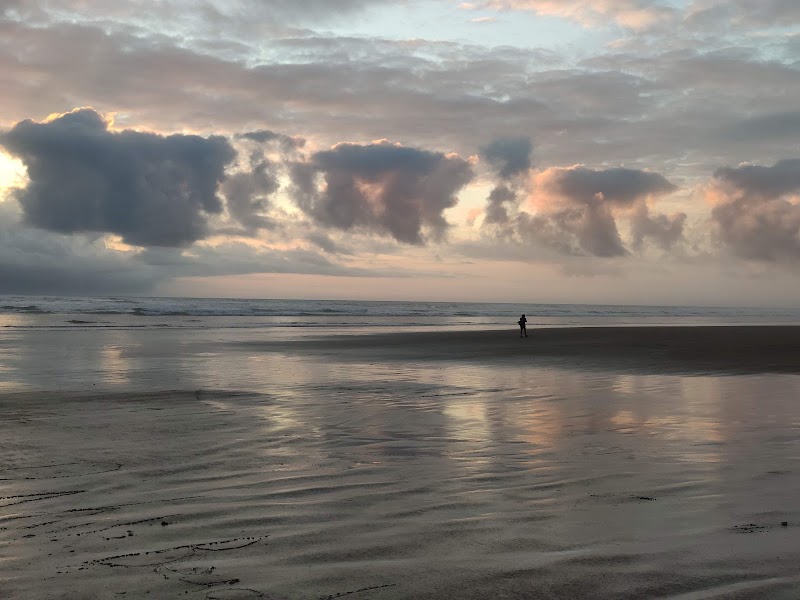 90 Mile Beach (Ahipara) – Ahipara, Northland 0481, Nouvelle-Zélande (photo 3)
