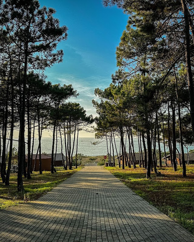 Camping d'Ericeira – Av. São Sebastião, 2655-210 Ericeira, Portugal (photo 3)