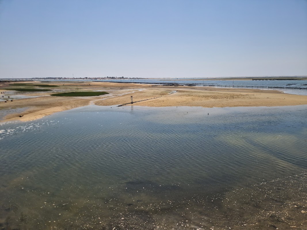 Centre d'éducation environnementale de Marim – Quinta de Marim, Quelfes, 8700 Olhão, Portugal (photo 1)