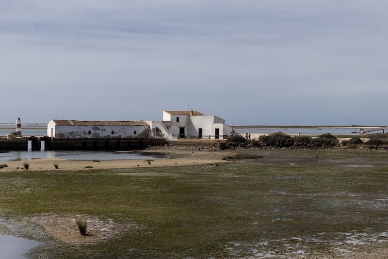 Centre d'éducation environnementale de Marim – Quinta de Marim, Quelfes, 8700 Olhão, Portugal (photo 2)