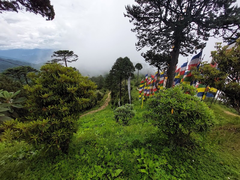 Col de Dochu La et les 108 chortens – Druk Wangyal Chorten, col de Dochu La, Bhoutan (photo 3)