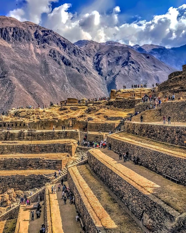 Forteresse d'Ollantaytambo – Parque arqueológico de Ollantaytambo 08676 (photo 1)