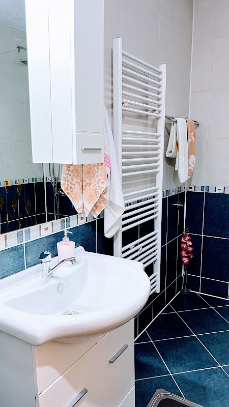 Guest House Bosnian House – Ferhat Paše Sokolovića 41, Ilidža 71210, Sarajevo, Bosnie-Herzégovine (photo 3)