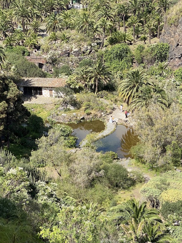 Jardín Botánico Viera y Clavijo – Carretera del Centro km 7, Las Palmas de Gran Canaria (photo 3)