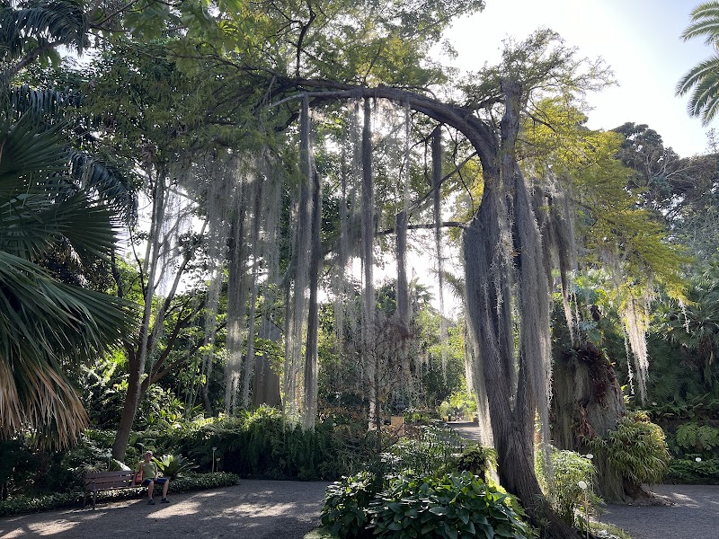 Jardin d'acclimatation de La Orotava, à Puerto de la Cruz – Calle Retama 2, 38400 Puerto de la Cruz (photo 3)