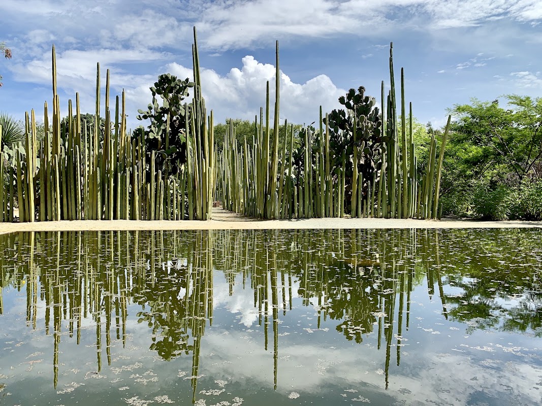 Jardin ethnobotanique de Oaxaca – Reforma Sur s/n, Centro, 68000 Oaxaca de Juárez, Oax., Mexique (photo 1)