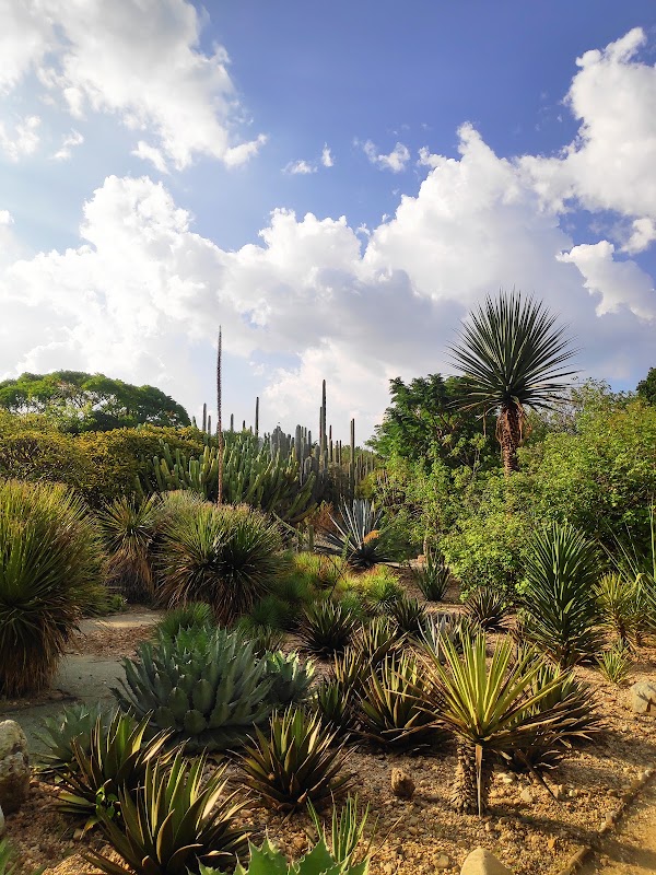 Jardin ethnobotanique de Oaxaca – Reforma Sur s/n, Centro, 68000 Oaxaca de Juárez, Oax., Mexique (photo 2)