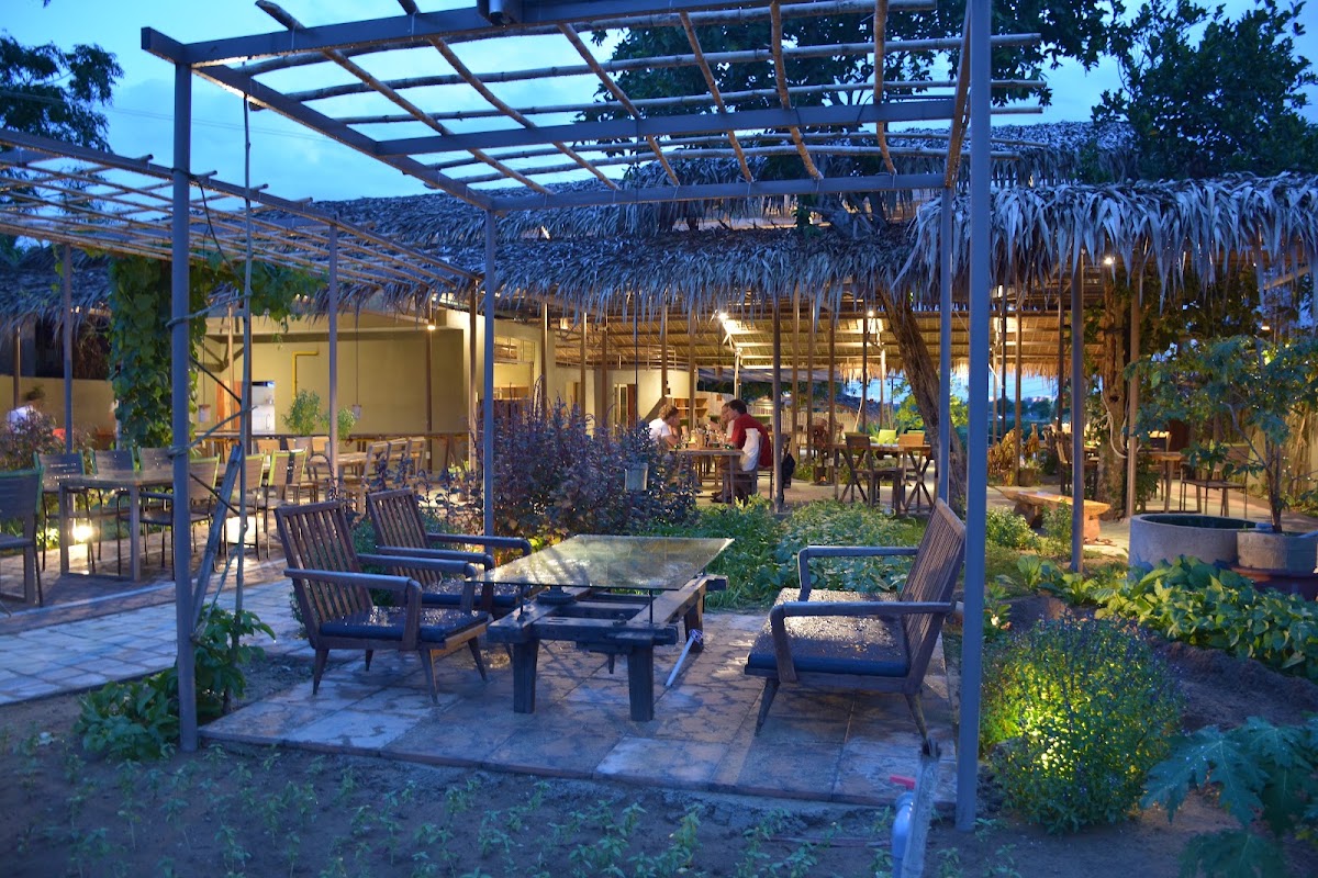 Jardin maraîcher de Tra Que, à vélo – Tra Que Herb Garden, Hội An, Quảng Nam, Vietnam (photo 1)