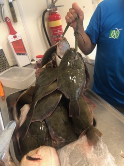Kaitaia Fish Shop – Kaitaia, Northland 0410, Nouvelle-Zélande (photo 3)