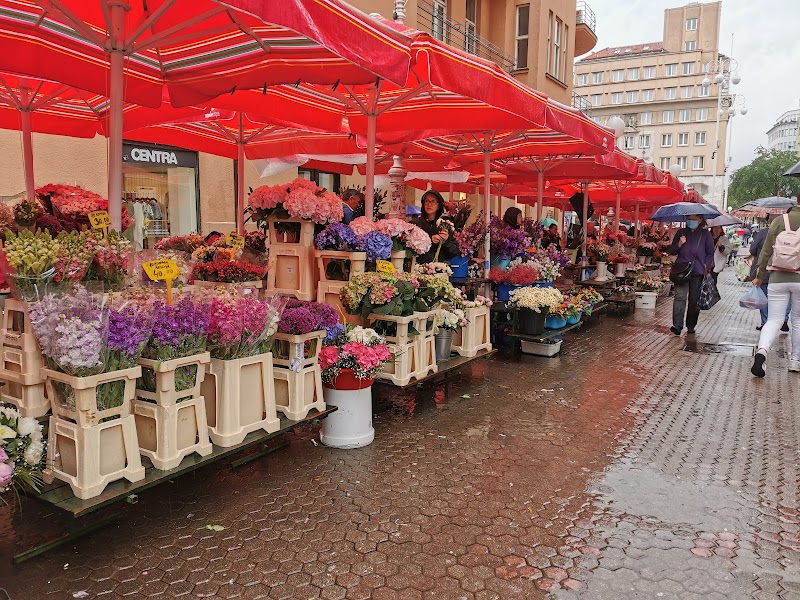 Marché de Dolac – Dolac 9, 10000, Zagreb, Croatie (photo 3)