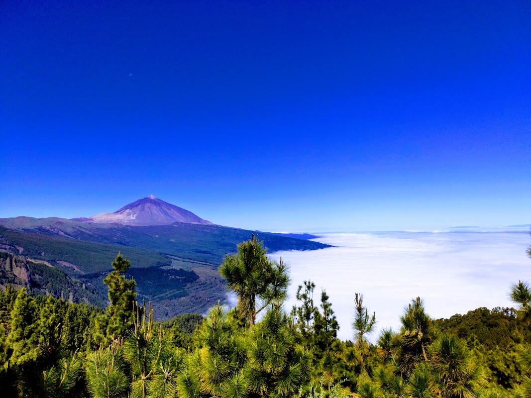 Mirador de Chipeque – TF-24, La Esperanza, Tenerife, Espagne (photo 1)