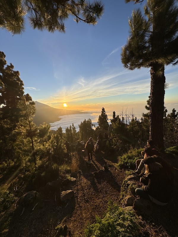 Mirador de Chipeque – TF-24, La Esperanza, Tenerife, Espagne (photo 3)
