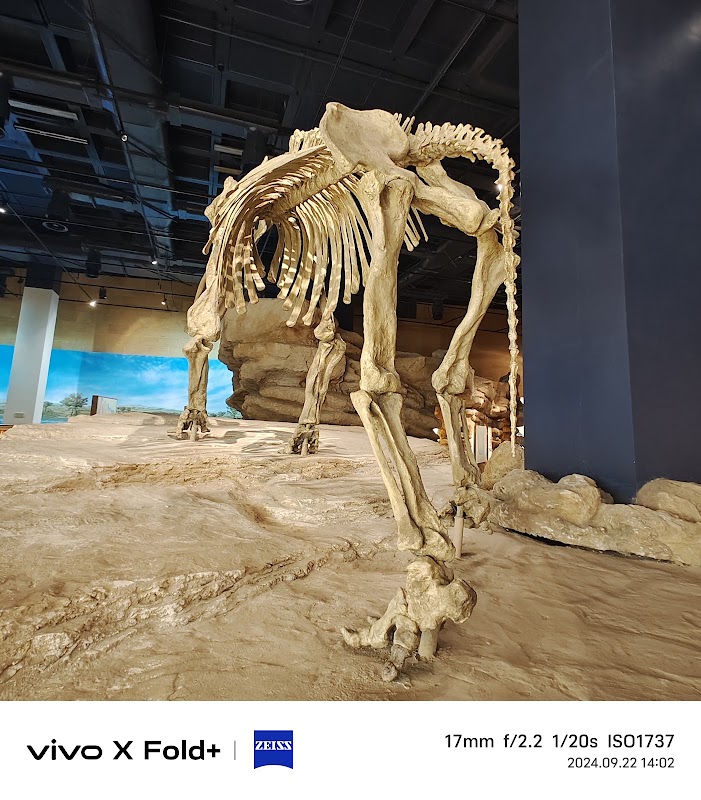 Musée national d'Arabie saoudite – King Saud Rd, Al Murabba, Riyadh 12631, Arabie saoudite (photo 3)