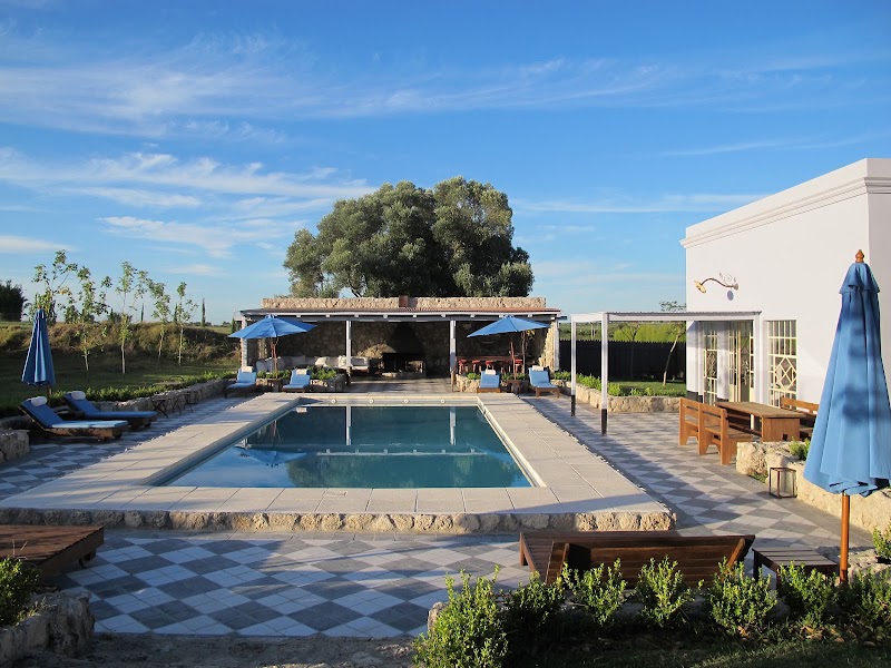 Narbona Wine Lodge – Ruta 21 km 267, 70100 Carmelo, Departamento de Colonia (photo 3)