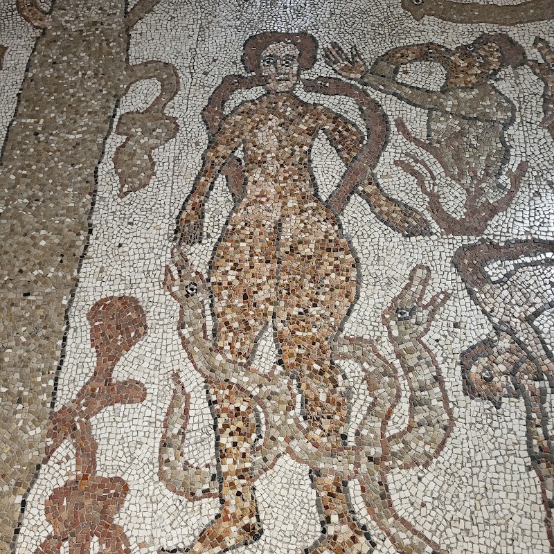 Otrante et sa mosaïque médiévale – Piazza Basilica, 73028 Otranto LE, Italie (photo 3)