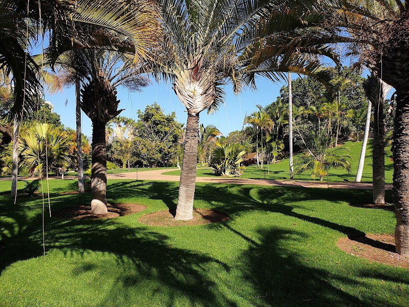 Palmetum de Santa Cruz – Avenida de la Constitución, 38003 Santa Cruz de Tenerife (photo 2)