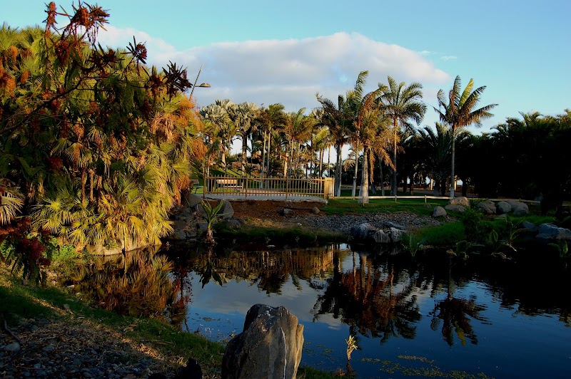 Palmetum de Santa Cruz – Avenida de la Constitución, 38003 Santa Cruz de Tenerife (photo 3)