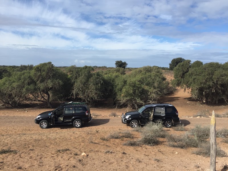 Parc National Souss-Massa – Sidi Binzarne, Parc national de Souss-Massa, Maroc (photo 2)