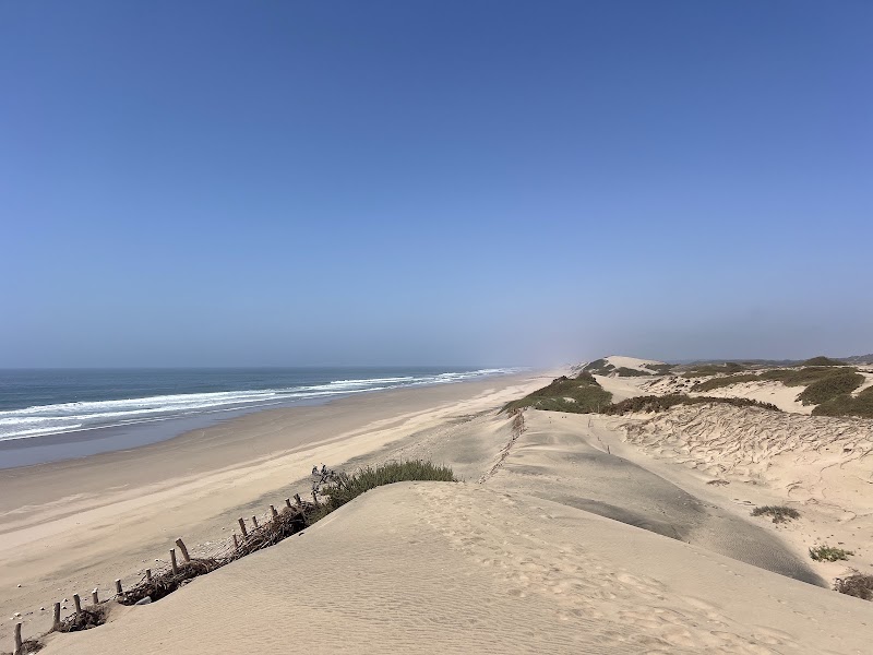 Parc National Souss-Massa – Sidi Binzarne, Parc national de Souss-Massa, Maroc (photo 3)
