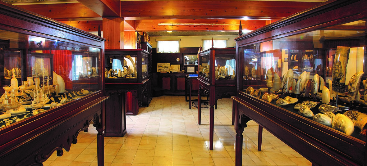Peter Café Sport – Rua José Azevedo 9, 9900-027 Horta, Faial, Açores (photo 1)