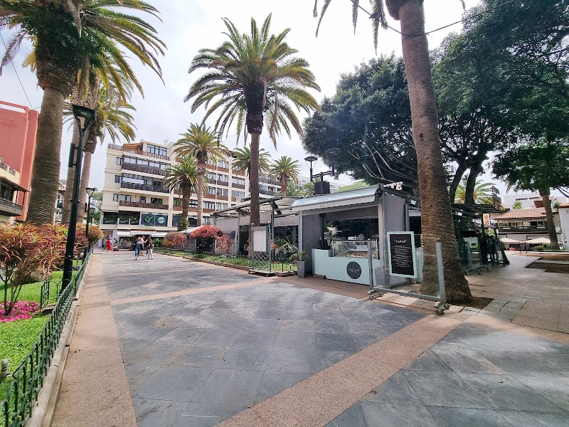 Plaza del Charco – Plaza del Charco, 38400 Puerto de la Cruz (photo 3)