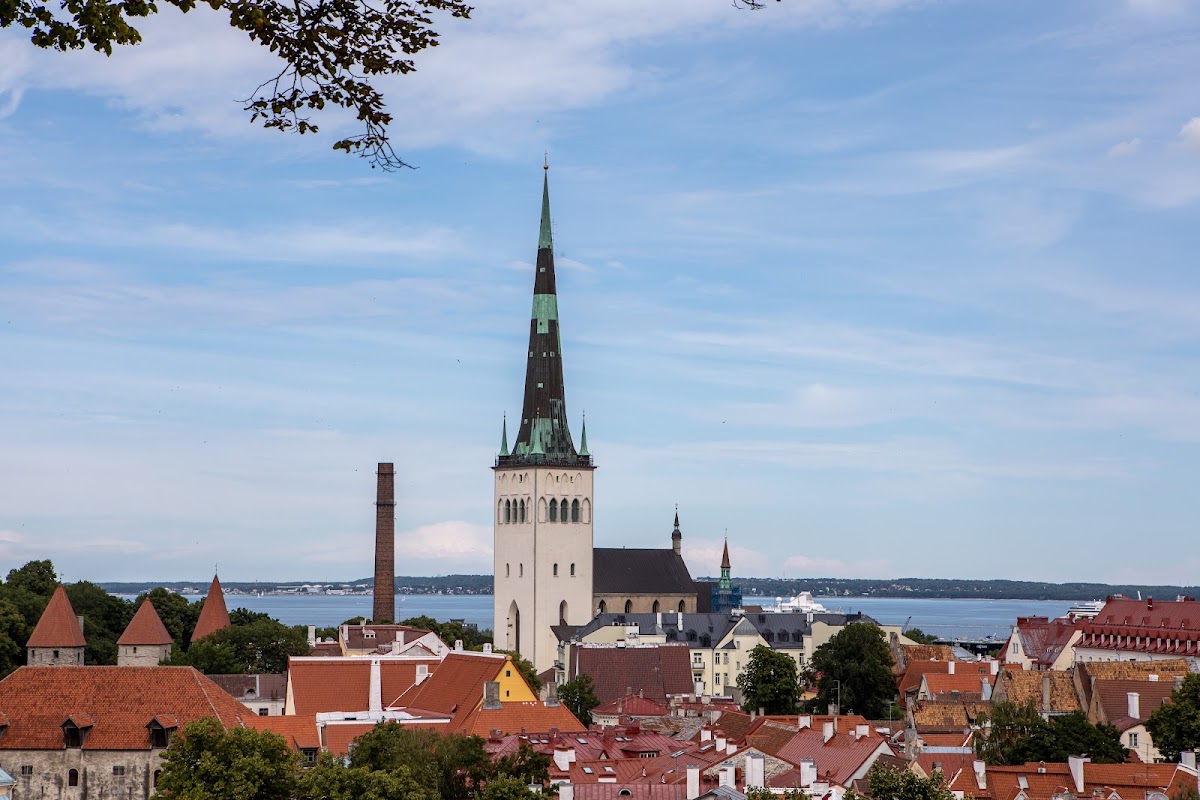 Point de vue de Kohtuotsa – Kohtu tn 12, 10130 Tallinn, Estonie (photo 1)