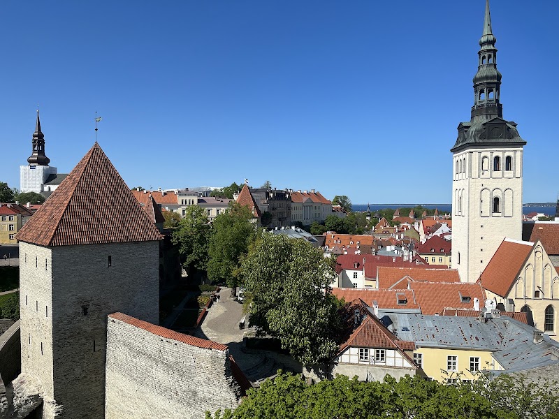 Point de vue de Kohtuotsa – Kohtu tn 12, 10130 Tallinn, Estonie (photo 2)