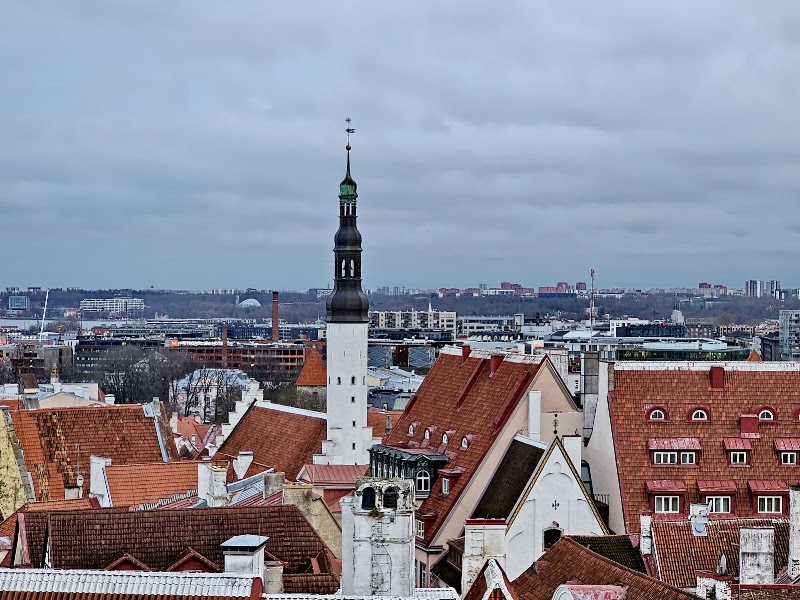 Point de vue de Kohtuotsa – Kohtu tn 12, 10130 Tallinn, Estonie (photo 3)