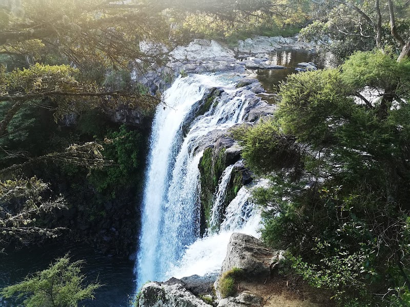 Rainbow Falls (Waianiwaniwa) – Rainbow Falls Road, Kerikeri 0230, Nouvelle-Zélande (photo 3)