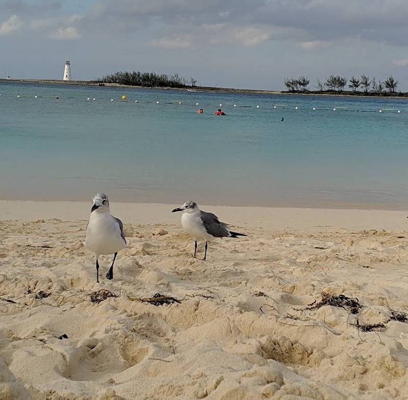 Saunders Beach – Saunders Beach, West Bay Street, Nassau (photo 3)